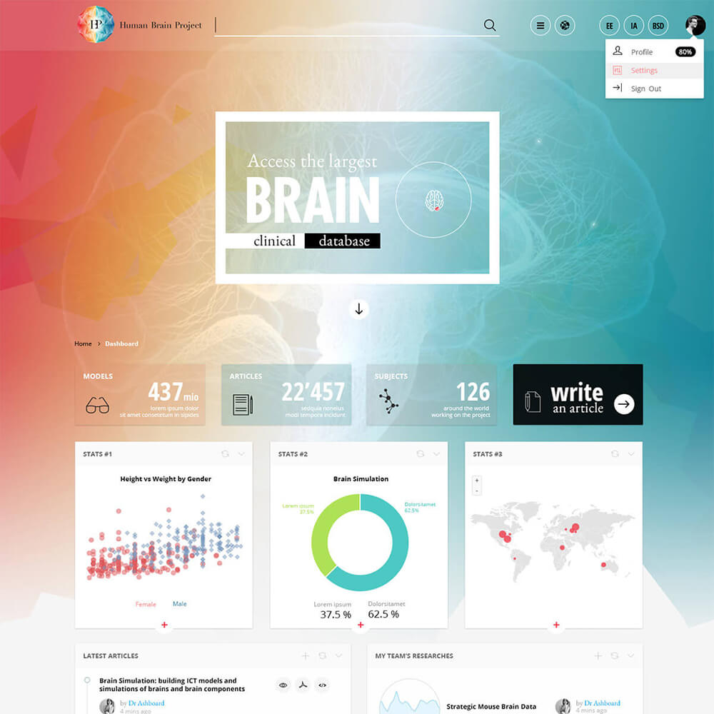 The Human Brain Project